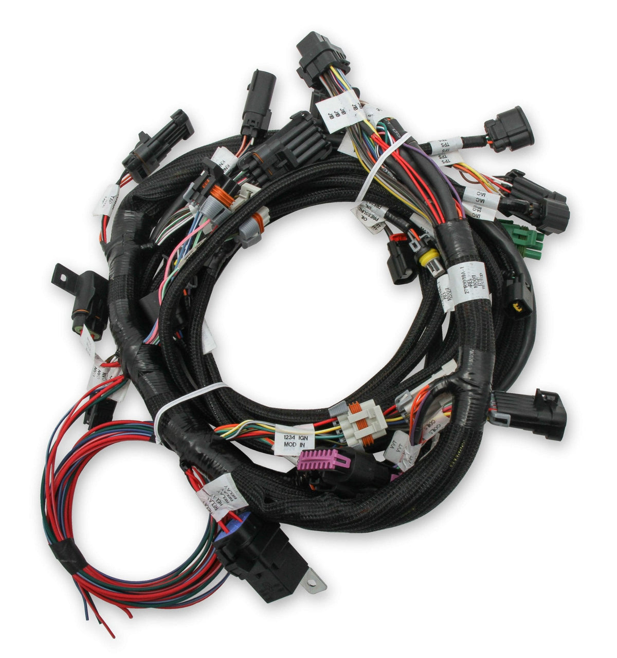 Holley EFI Ford Coyote Engine Main Harness W/ TI-VCT And Stock Coils (2011-2017)