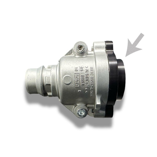 BPS Coyote Thermostat -20 ORB Inlet