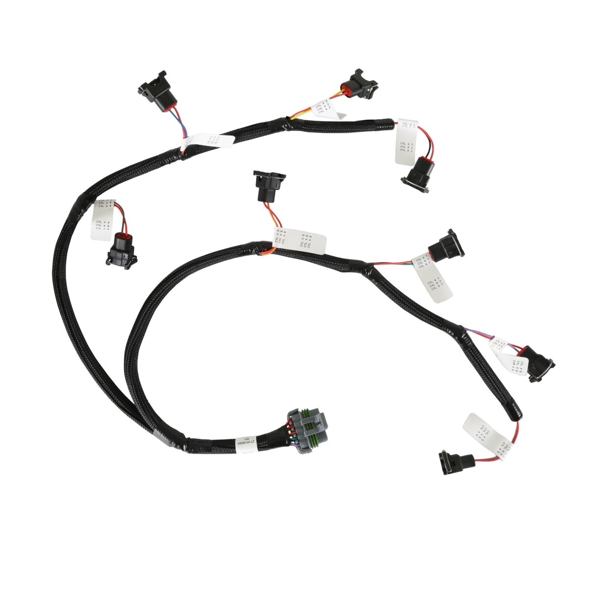 Ford V8 Injector Harness - EV1