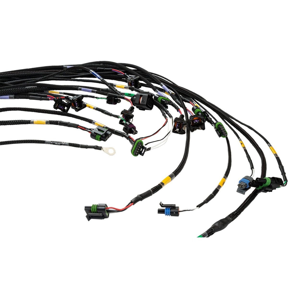 FT450/FT550 6 Cylinder Universal A Harness