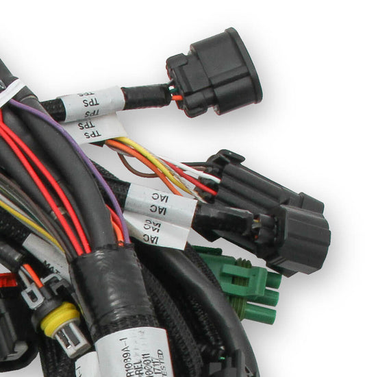 Holley EFI Ford Coyote Engine Main Harness W/ TI-VCT And Stock Coils (2011-2017)