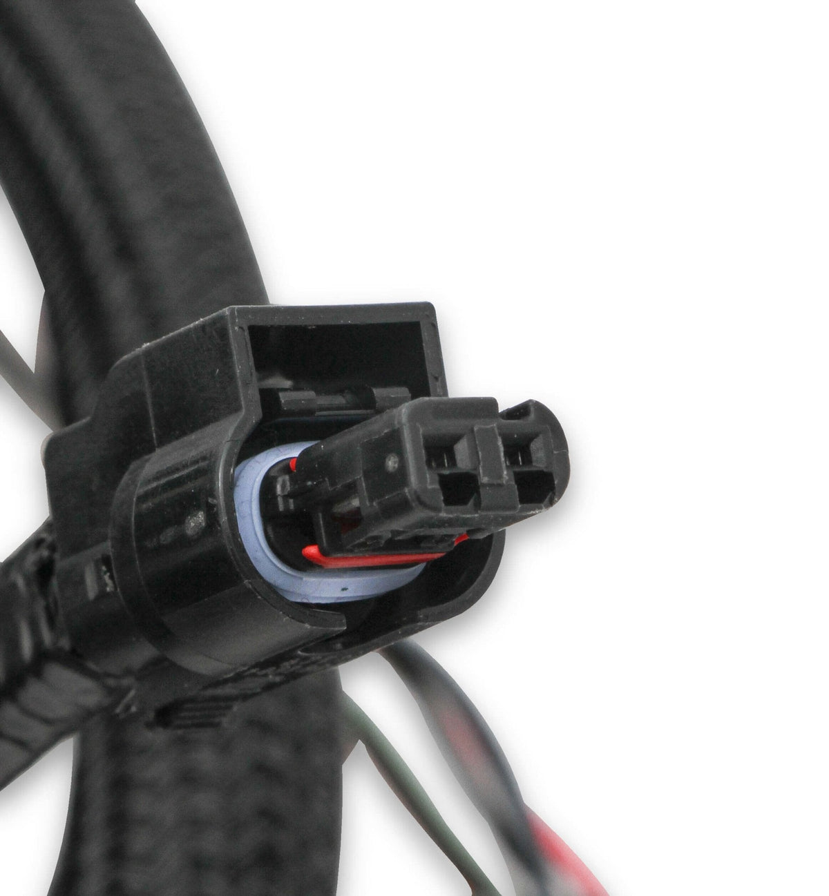 Holley EFI Ford Coyote TI-VCT Sub Harness (2011-2012)