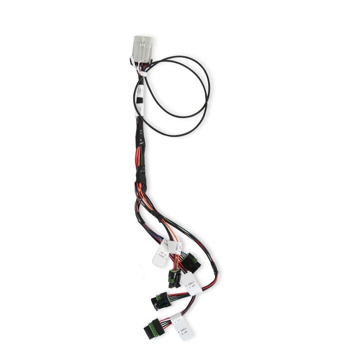 Holley EFI HP Smart Coil Ignition Harness
