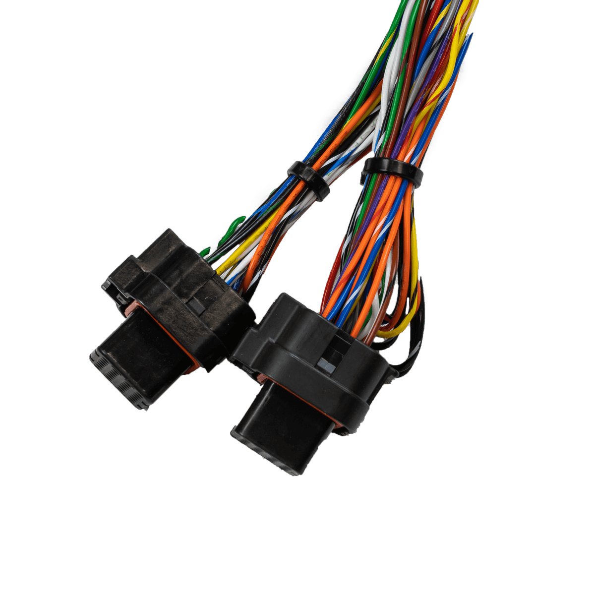 FT550 Rotax 300 Harness